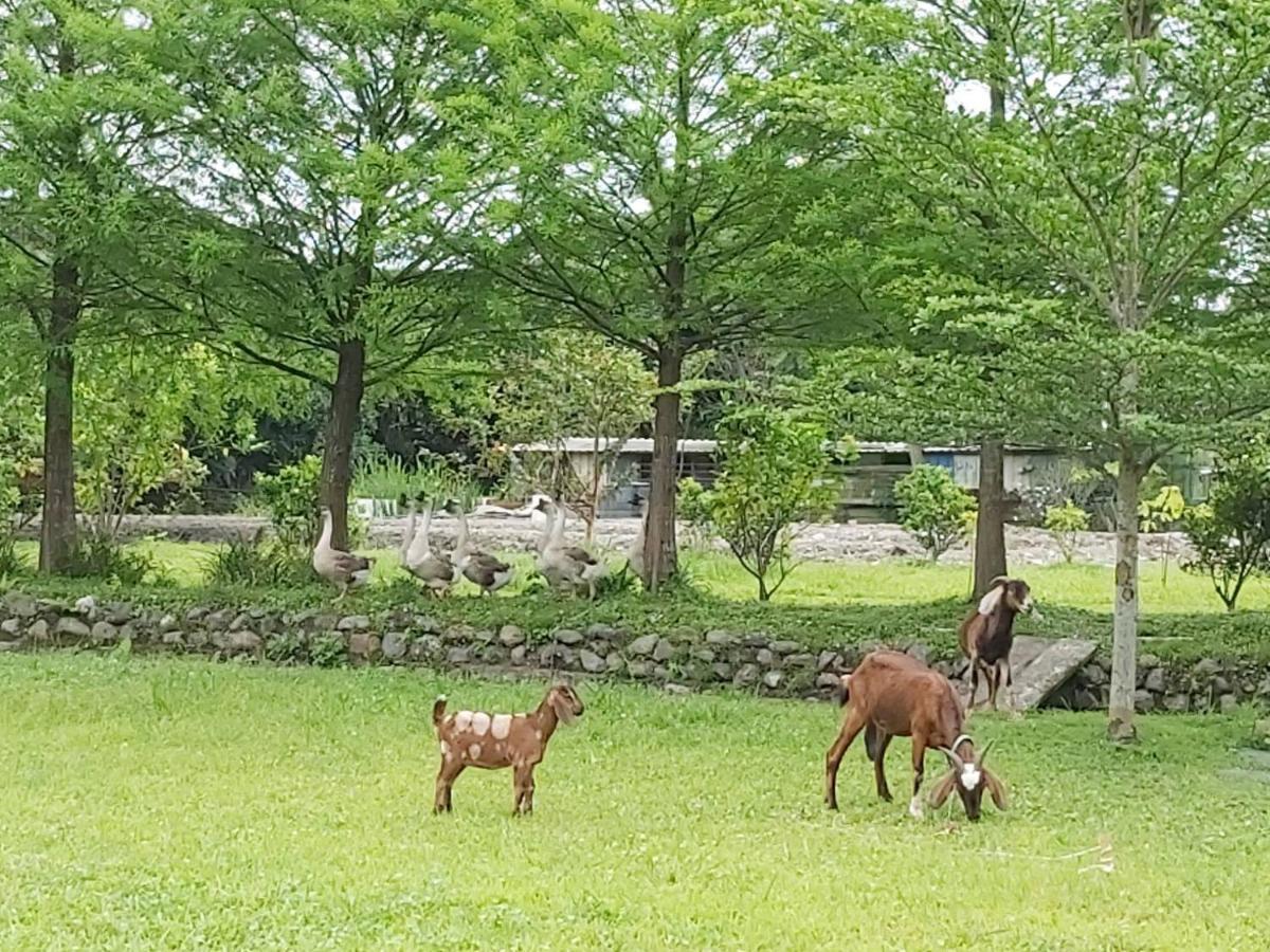 Meihua Lake Leisure Farm 冬山郷 エクステリア 写真